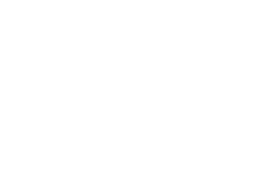 GOLDEN SPOON-white